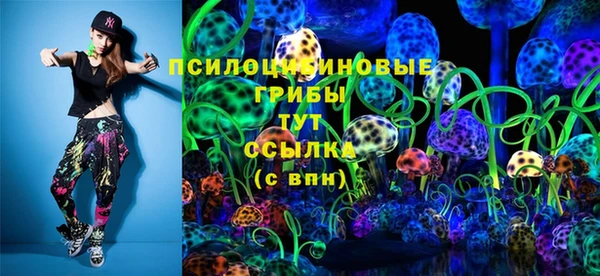 индика Куйбышев