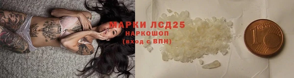 индика Куйбышев