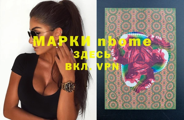 индика Куйбышев
